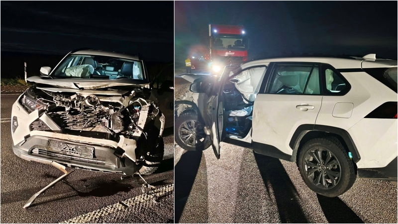 Kelyje – automobilio susidūrimas su penkiais elniais