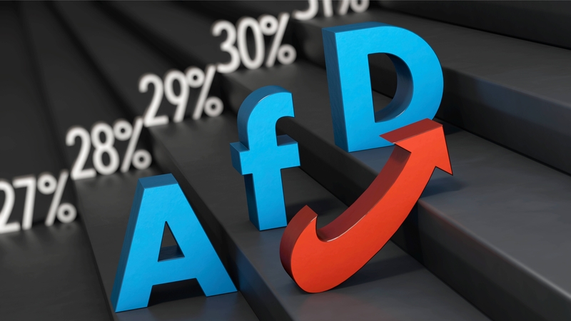 Sekmadienio rinkimai Vokietijoje: ką reikštų AfD pergalė?