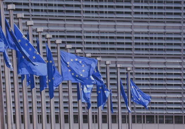 Europos Parlamentas priėmė naujas elektroninės prekybos ir muitų taisykles