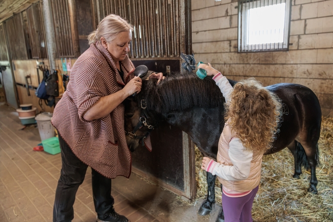 Kontaktai: vaikams, kurie neišdrįsta joti, siūloma šukuoti ar šerti žirgus.