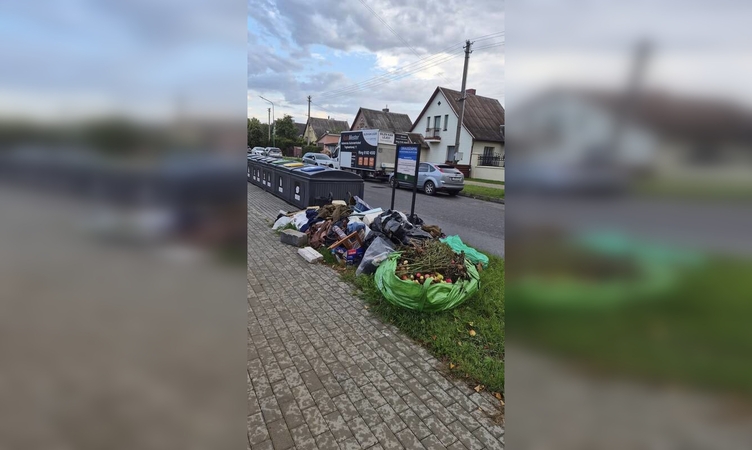 Užvertė: klaipėdiečiai tvarkosi sodus ir sandėliukus – nepaisydami draudimo, prie konteinerių palieka plytas, dėžes ir supuvusių obuolių bei šakų pripildytus didmaišius.