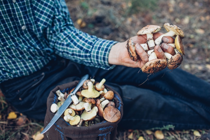 Neatsipalaiduokite: erkės jūsų ieško
