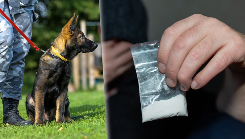 Tarnybinį šunį parke dresiravusiam pareigūnui įtarimų sukėlė du jaunuoliai: teks stoti prieš teismą