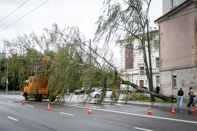 Vyriausybės 0,5 mlrd. eurų Audrų paketas: kabeliavimas, didesnis generatorių rezervas