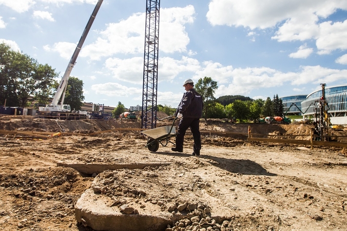 Seimas padarė išimtį dideliems investuotojams: nereikės konkursų?