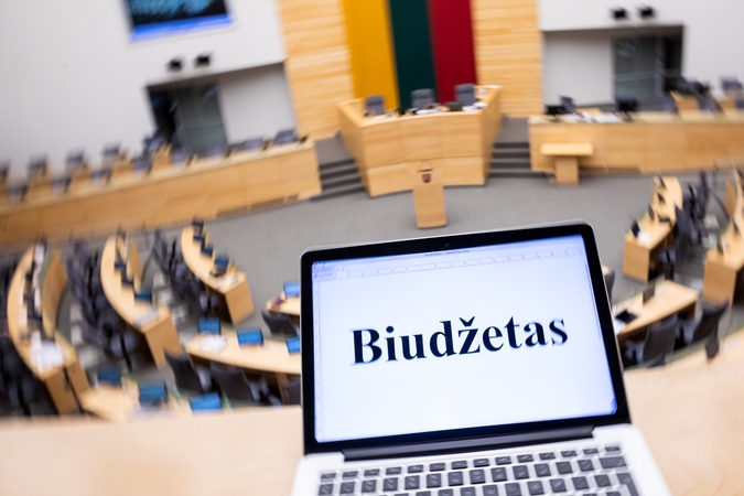 Biudžete – milijardinė skylė: kas laukia gyventojų?