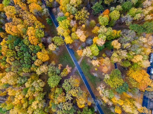 Po vėsių dienų Lietuvą pasieks maloni šiluma: ar užsibus?