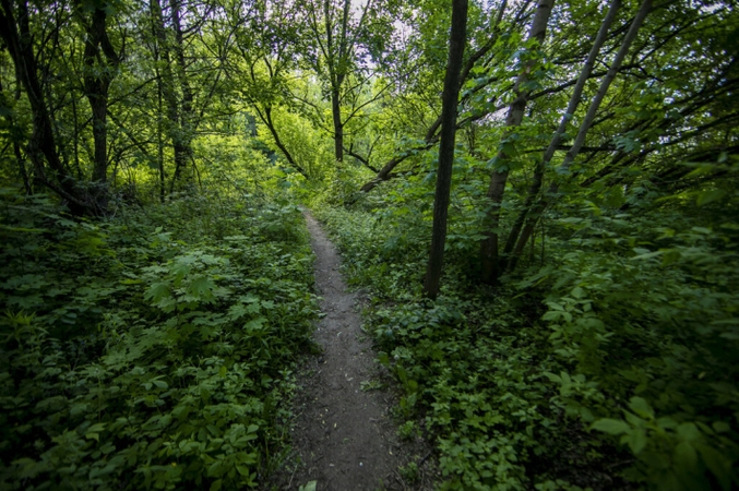 Kaunas ieško, kas už 2,5 mln. eurų sutvarkys Sargėnų dvaro parką 