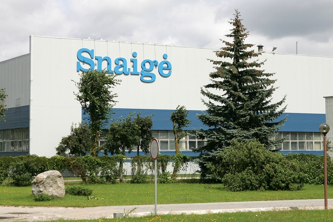 Įvardijo, kodėl bankrotavo „Snaigė“