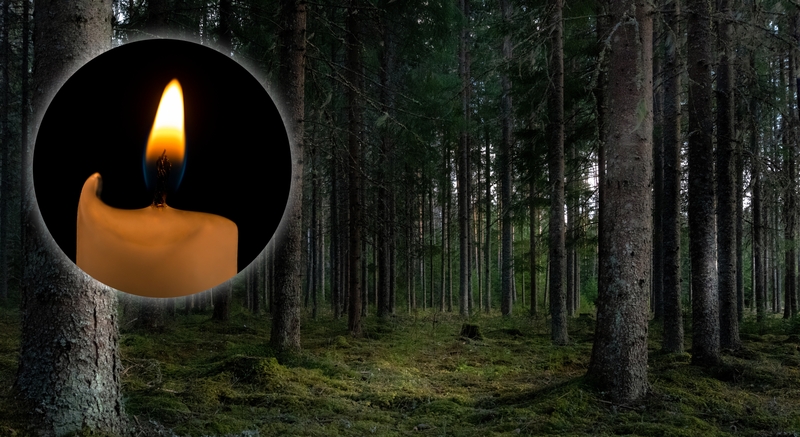 Dingusios 11-metės paieškos baigėsi tragedija: kūnas rastas kaimo parke