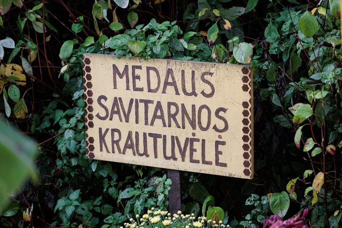 Medaus savitarnos stotelės