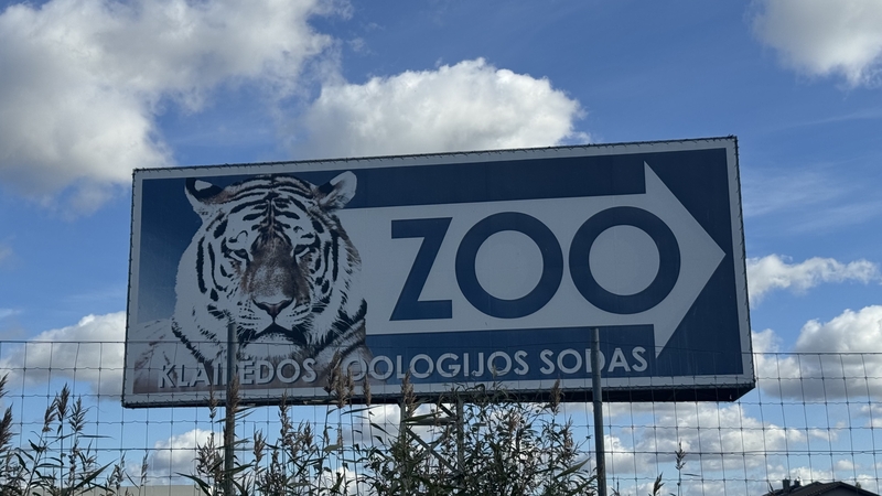 Dėl Klaipėdos zoologijos sode nušautos tigrės – žinia iš prokuratūros