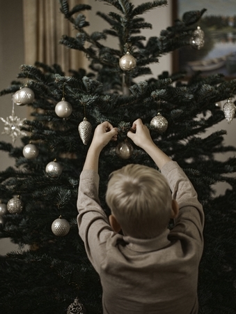 Kalėdinių eglučių pristatymas Klaipėdoje – pasiruoškite šventėms be streso 