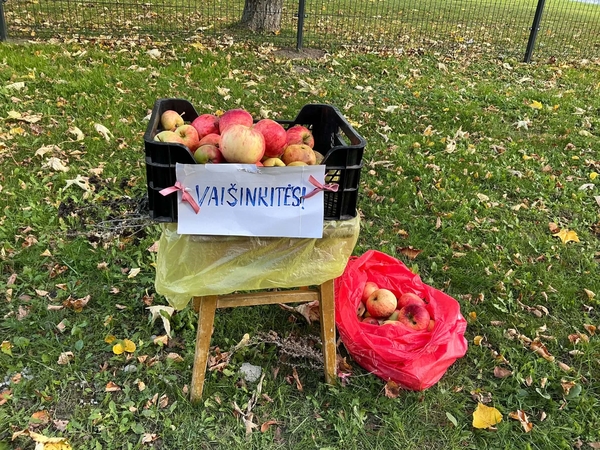 Iniciatyva: priešais Smeltės progimnaziją klaipėdietė paliko dėžę obuolių, kuriais gali pasivaišinti kiekvienas – idėja kilo iš vaikystės prisiminimų.