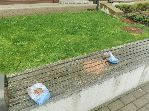 Suoliuką pavertė lesykla