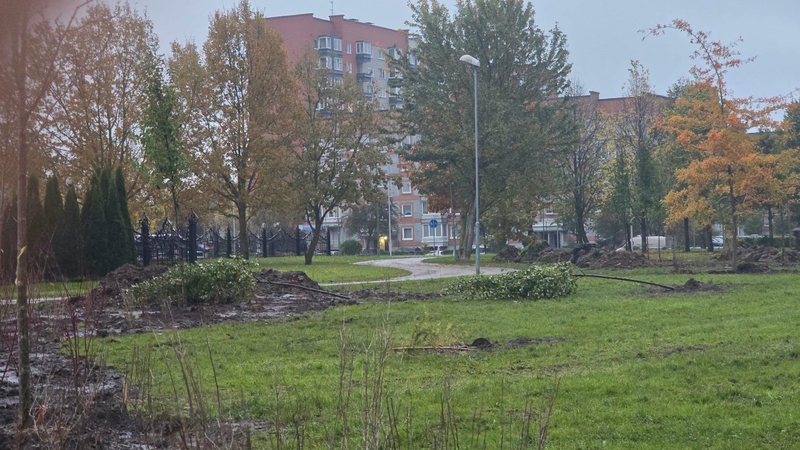 Vandalizmas: po bendruomenės talkos už „Smeltės“ progimnazijos žaidimų aikštelės pasodinti medeliai rasti išlaužyti.