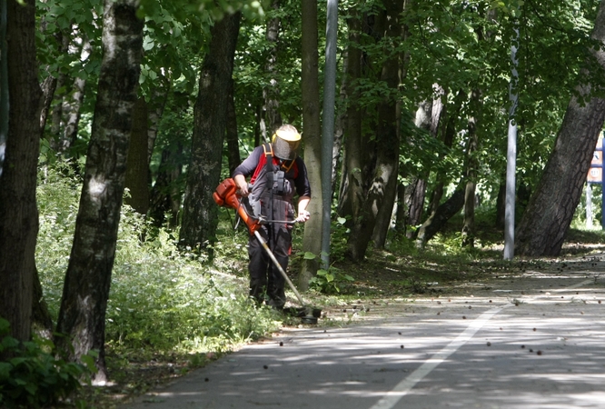 Pokyčiai: Klaipėdos rajone nuspręsta nebepjauti žolės „iki minimumo“, teritorijose, kur niekas nevaikšto, žolei bus leidžiama augti iki 60 cm.