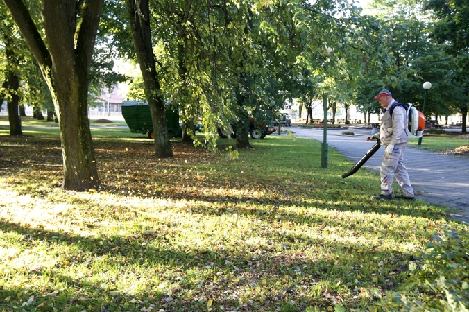 Pokytis: manoma, kad didesnis lapų krytis bus atšalus orams.