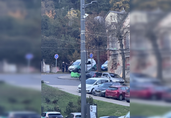Kaune sustabdyto automobilio vairuotojui ir keleiviams – nemalonumai