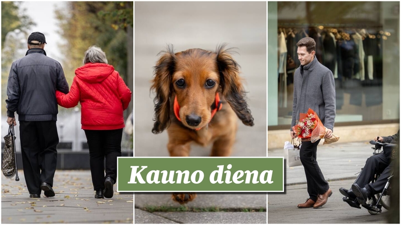 Kauniečių akimirkos – „Kauno dienos“ fotografų nuotraukose