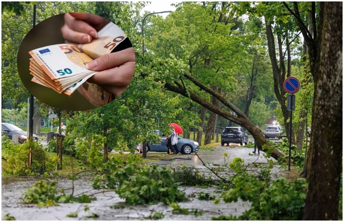 ESO skelbia, kiek milijonų eurų išmokės kompensacijoms dėl audros 