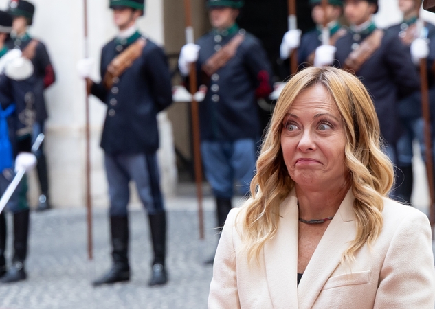 Meloni užregistravo savo balsą kaip prekės ženklą