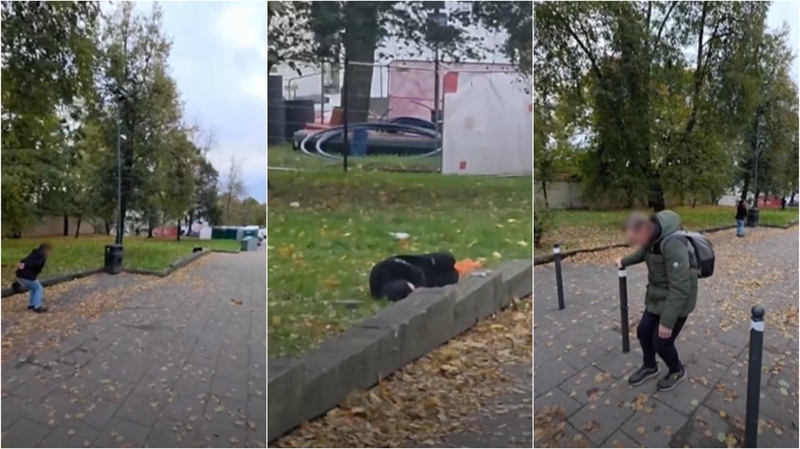 Vaizdai prie mokyklos kelia siaubą