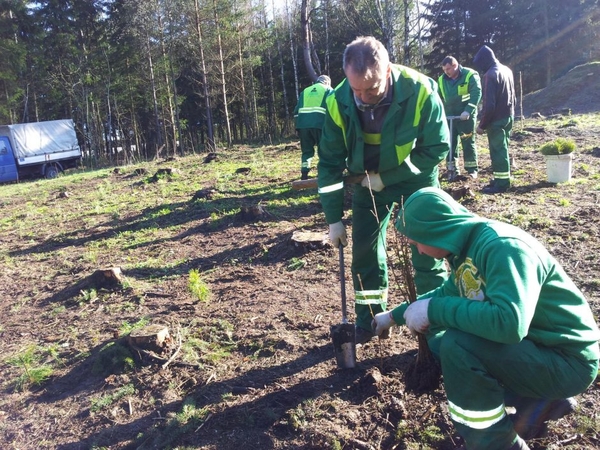 Pavilnių regioniniame parke sužaliuos tūkstantis naujų medžių