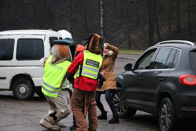 Gal Kaune sutikote vilką, briedį ar kiškį?
