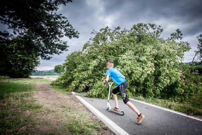 Vėtros padariniai: darbų dviem savaitėms 