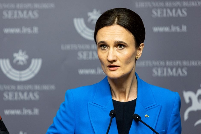 V. Čmilytė-Nielsen nemato poreikio pradėti tyrimo dėl elektros tiekėjų piktnaudžiavimų