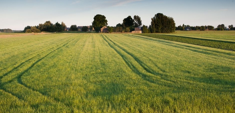 Prasideda pasėlių ir žemės ūkio naudmenų deklaravimas