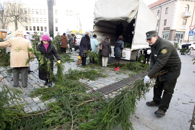 Karantinas keičia planus: šakelių dalijimo akcijos Klaipėdoje nebus
