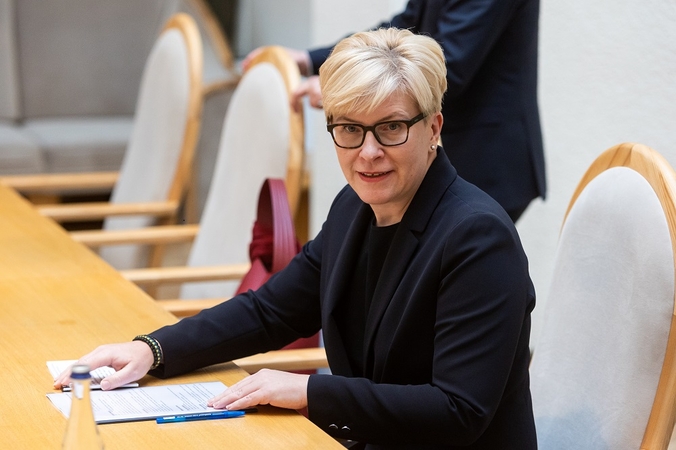 I. Šimonytė: parama gyventojams ir verslui turi būti greita