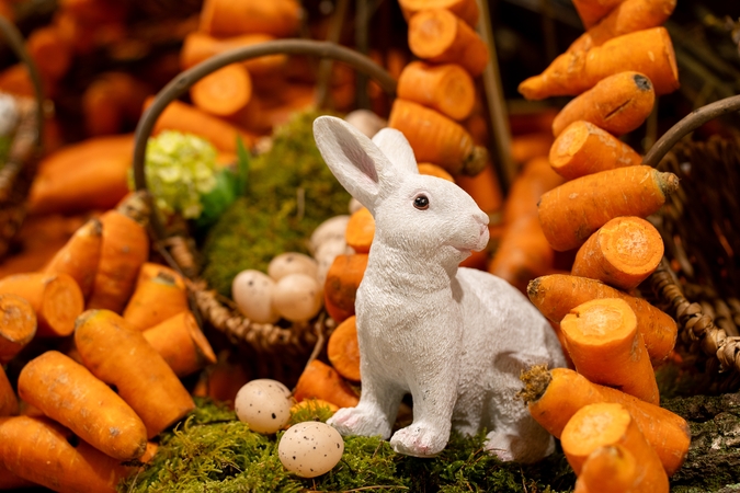 Vilijampolės turguje - velykinė morkų eglutė