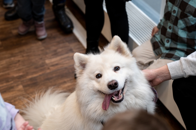Vaikų skaitymai su terapiniais šunimis