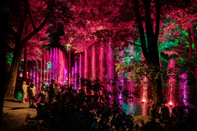 Botaninės naktys | Tropinė – drugelių naktis 