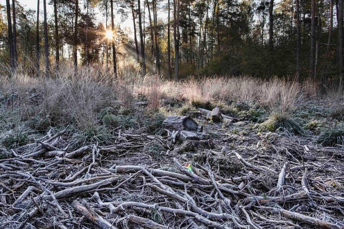 Po šiltos ir saulėtos savaitės pradžios – permainos