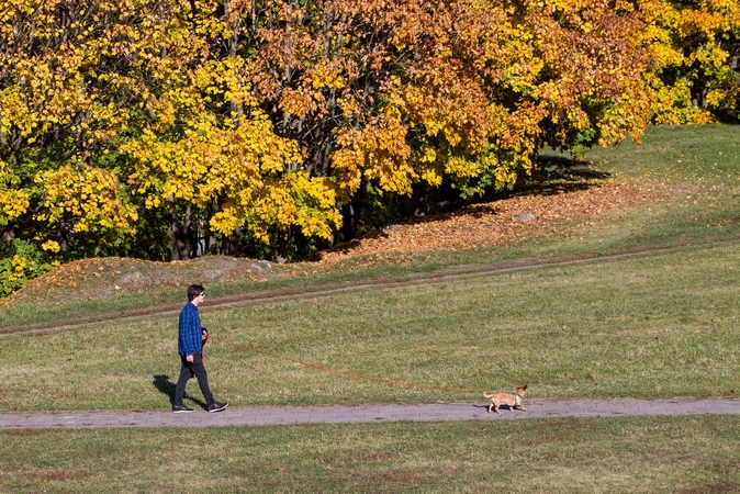 Orai: spalis stebins ir toliau, bet pokyčiai jau ne už kalnų