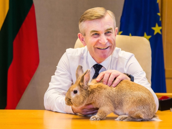 Seimo pirmininkas persidirbo? Tariasi su triušiu