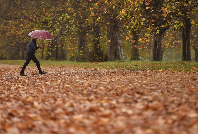 Orai: teks kęsti rudens darganą – draskysis vėjas, merks lietus