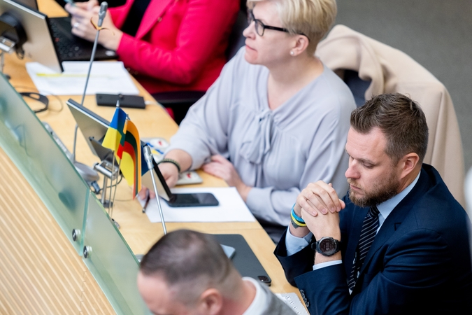 G. Landsbergis po balsavimo dėl PVM lengvatos: Rubikonas buvo peržengtas