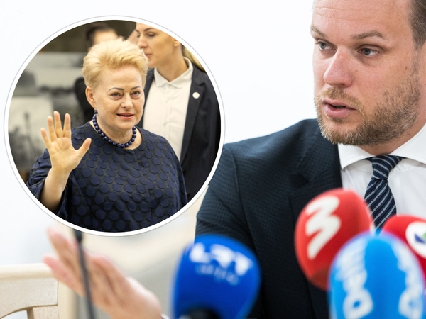 G. Landsbergis tikina, kad neįsižeidė dėl D. Grybauskaitės žodžių apie „drebinamas kinkas“
