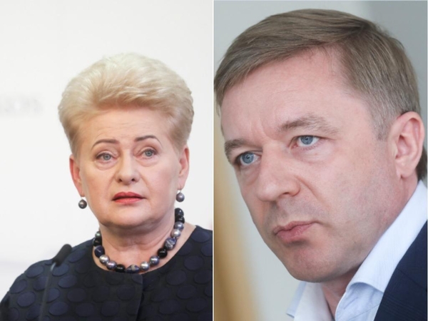 Prezidentė kritikuoja Seimo komisijas, R. Karbauskis žada – tyrimai tęsis