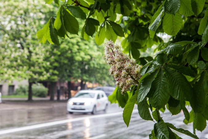 Savaitgalio orai: dienos bus lietingos, galimas rūkas ir perkūnija