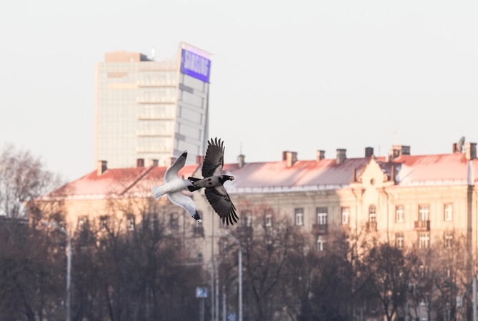 Savaitgalis turėtų palepinti sausais orais