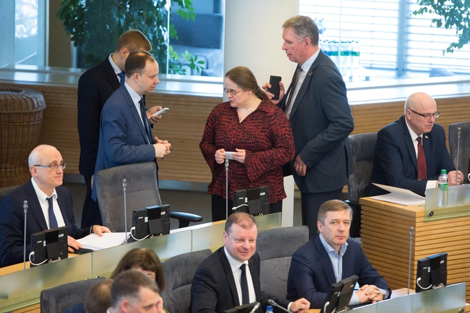 Seimo pirmininkas gina A. Širinskienę: ji tik vykdė kolegų prašymą