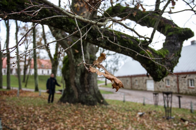 Orai: dangus prakiurs tik savaitės pabaigoje