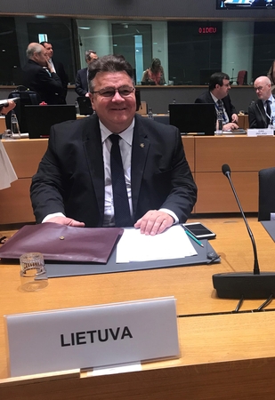 L. Linkevičius: ES turi užtikrinti tinkamą dėmesį Rytų partneriams