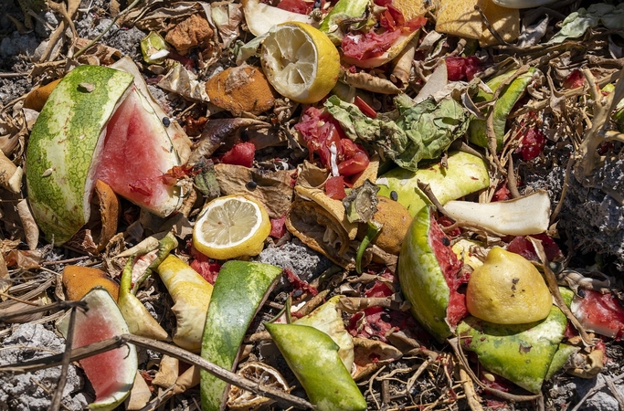Būna ir taip: į restoraną ateina dėl bjauriai atrodančio maisto